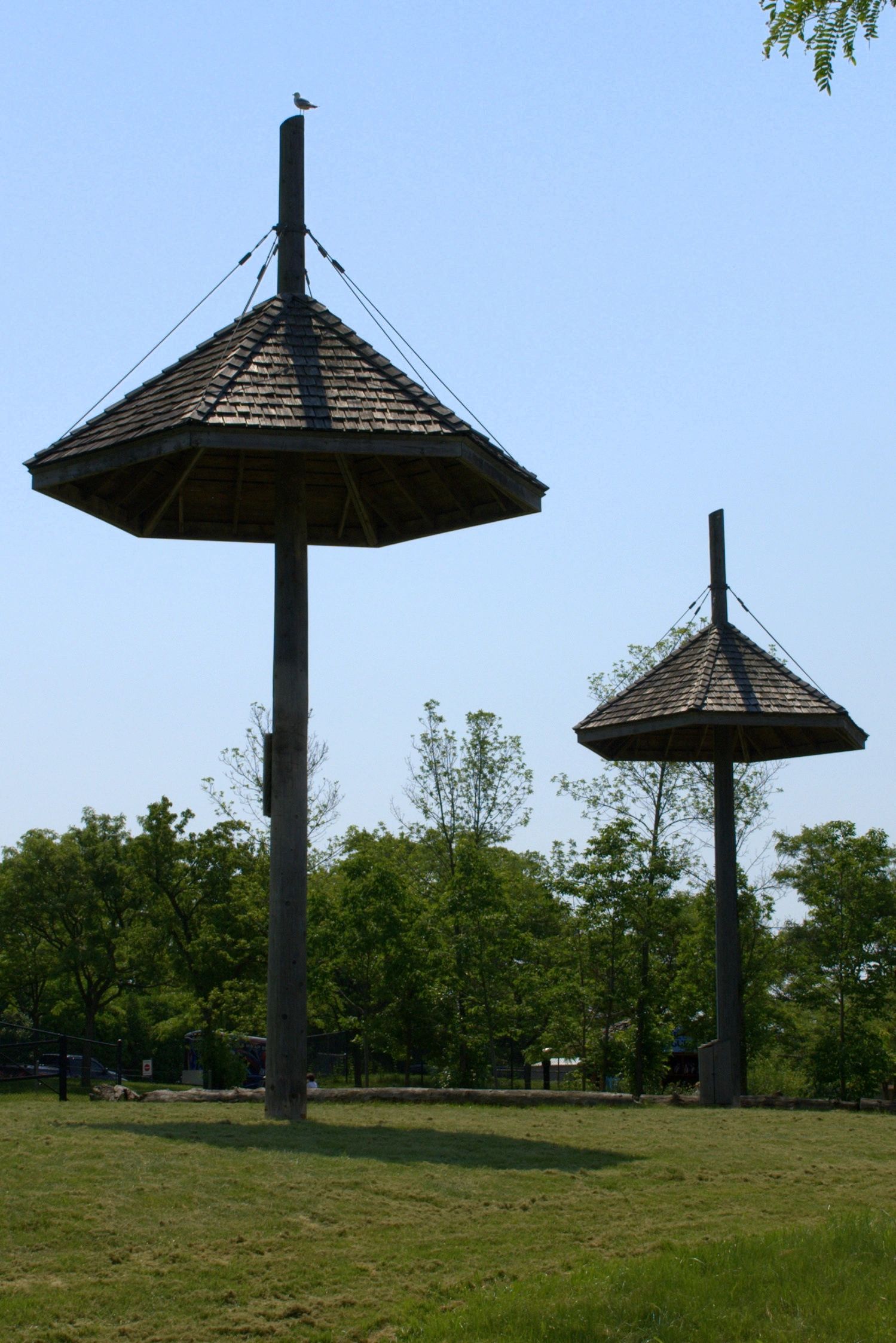 Zoo - Giraffe Exhibit