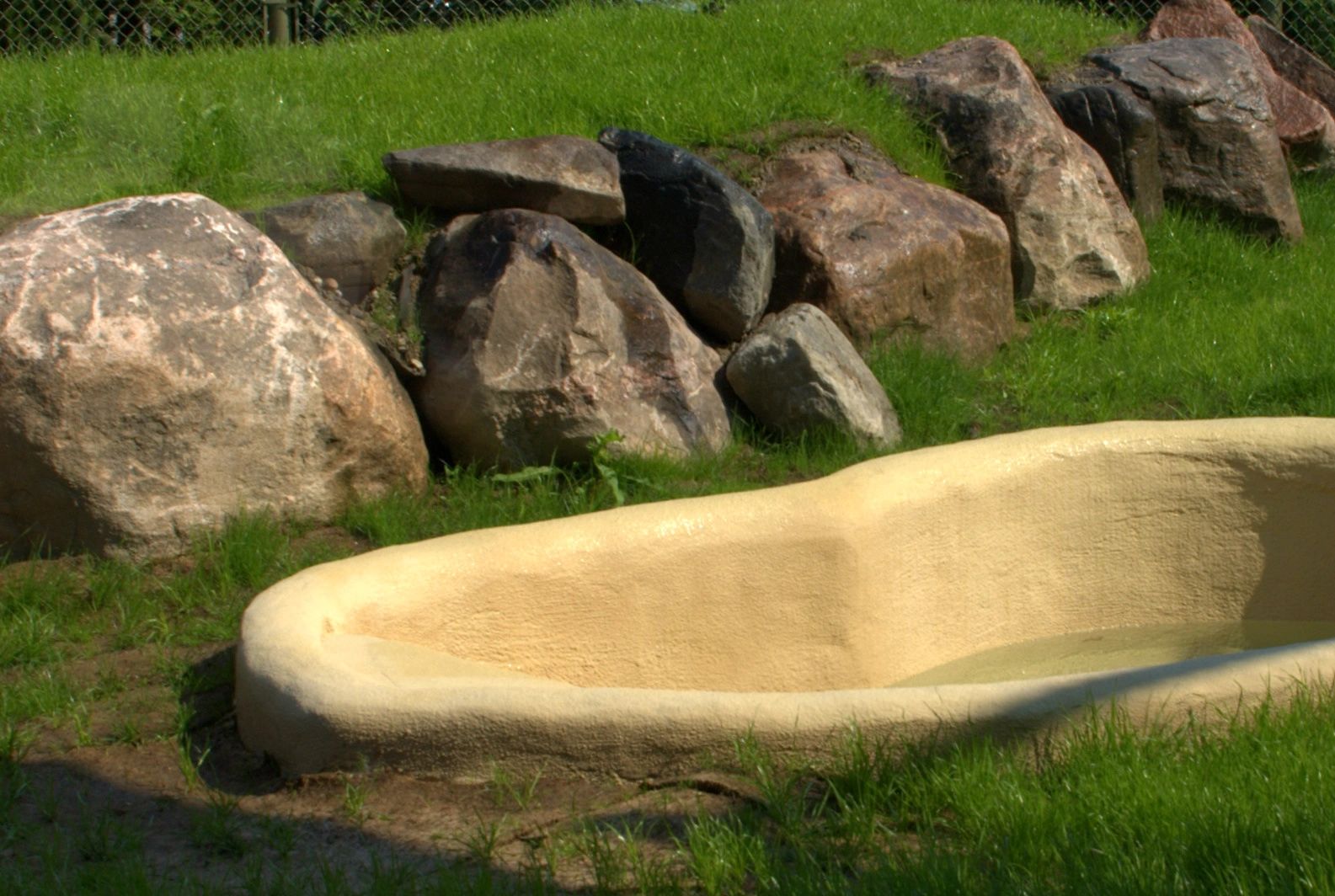 Zoo - Polar Bear Pool